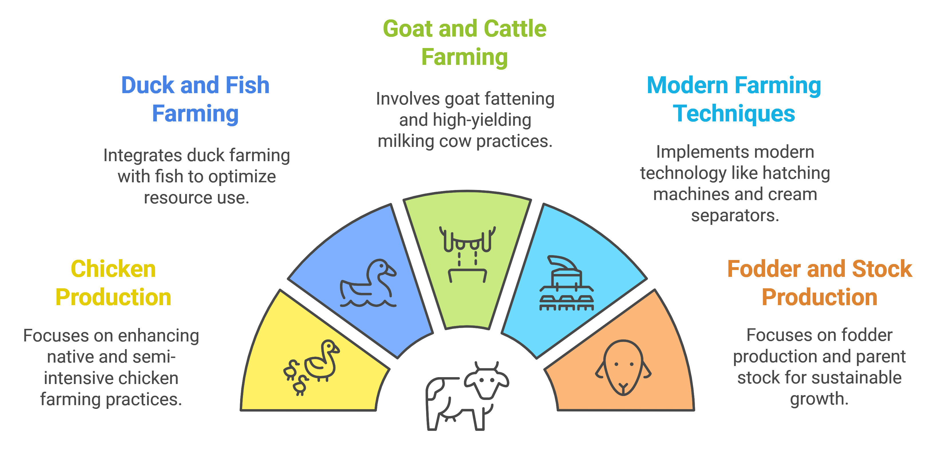 livestock-project-components-and-major-interventions1732004467.png